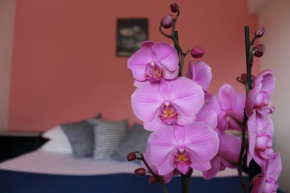 Отель Albergo Residence Pucara  Трамонти